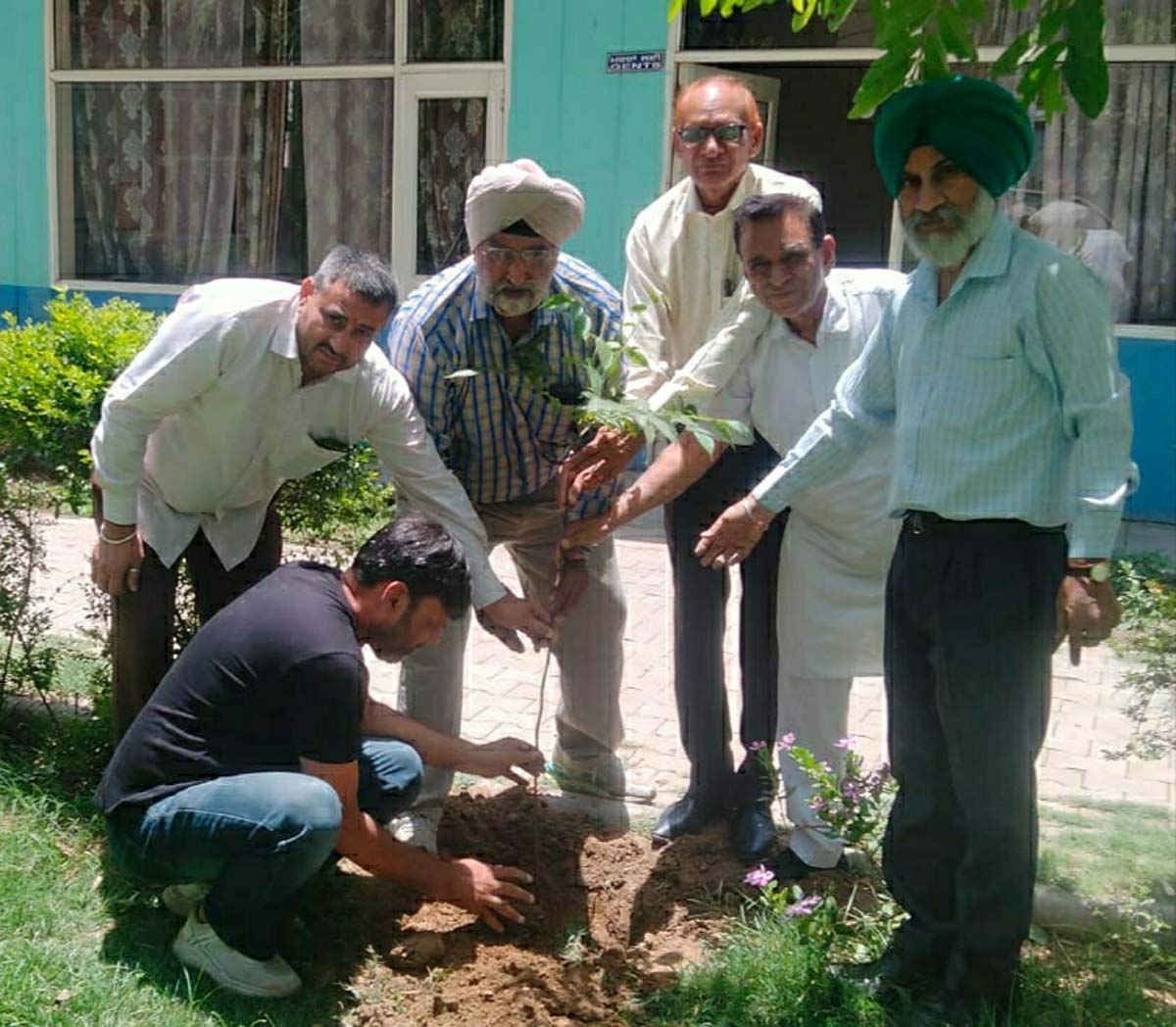 Plants planted on the martyrdom of Shri Guru Arjan Dev Sahib Ji